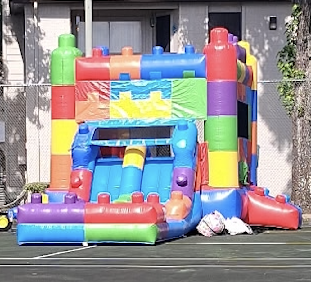 Double Slide Bounce House