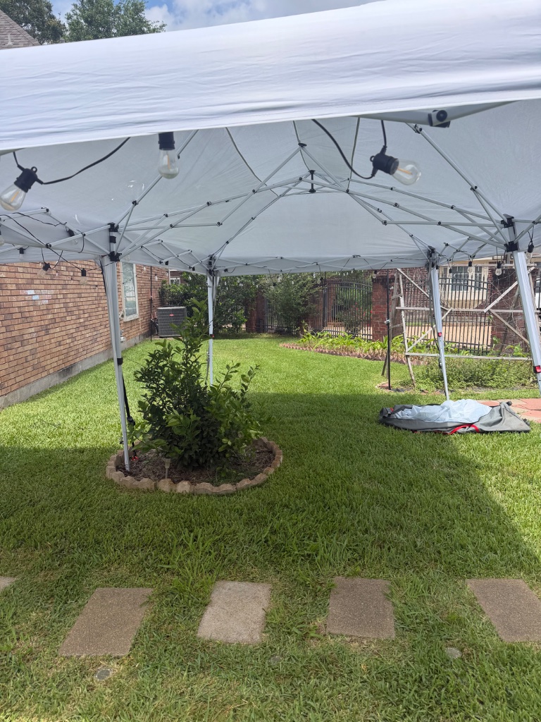 White canopy with Edison bulbs — garden ambiance & elegance 💡