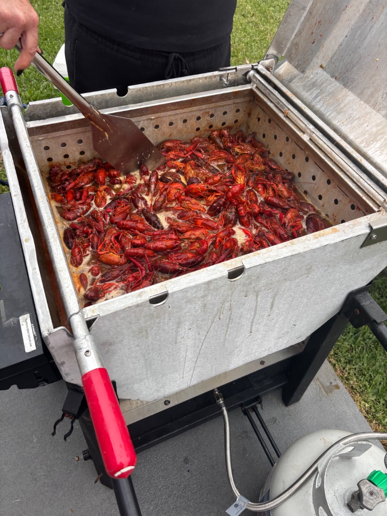 Louisiana-style crawfish boil — bold flavors, backyard vibes 🦞