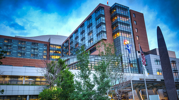 Healthcare Organizations