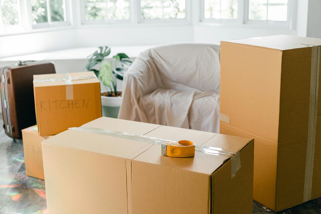 Boro Park Movers (Preview)