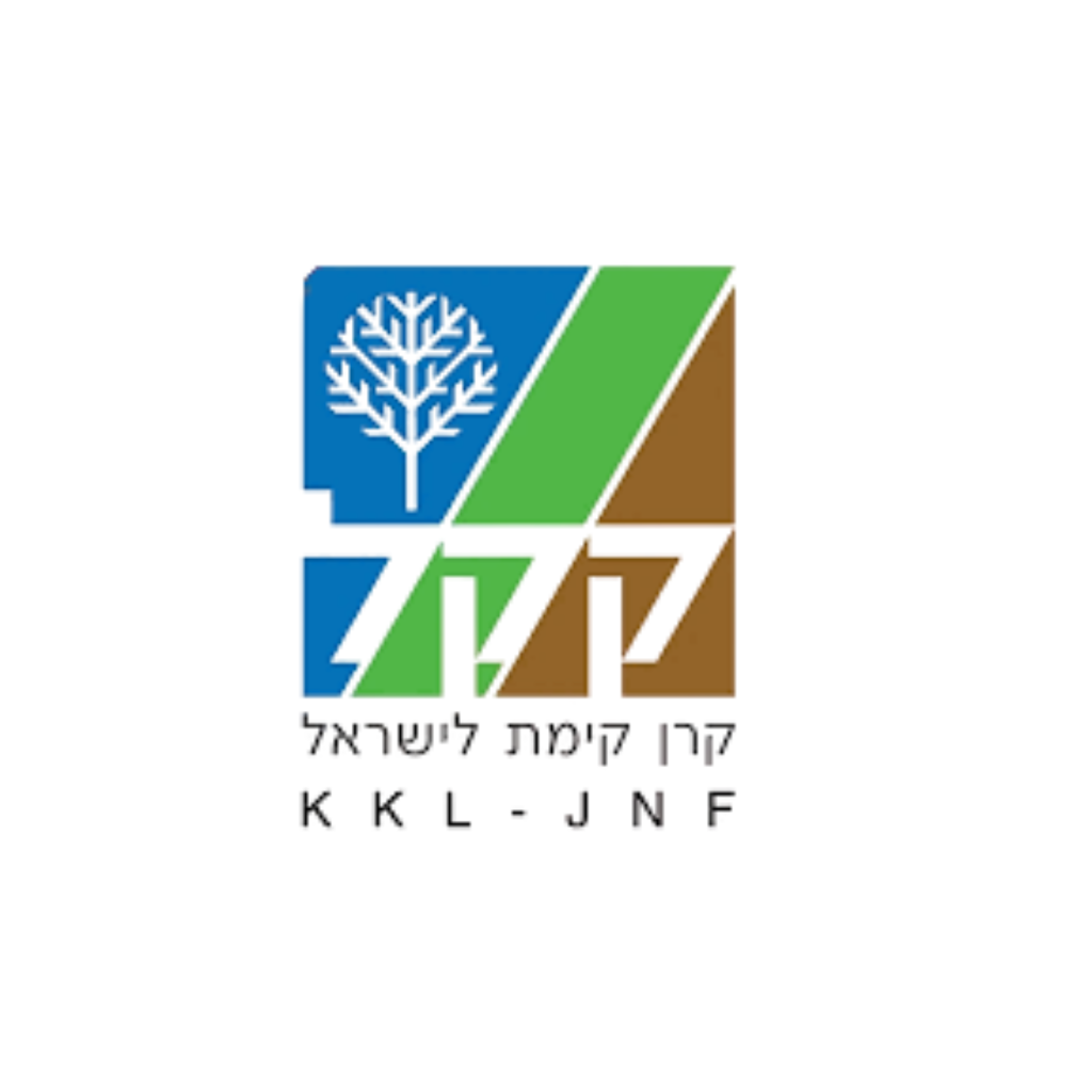שותף 8