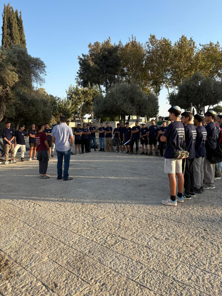 גלריה 29