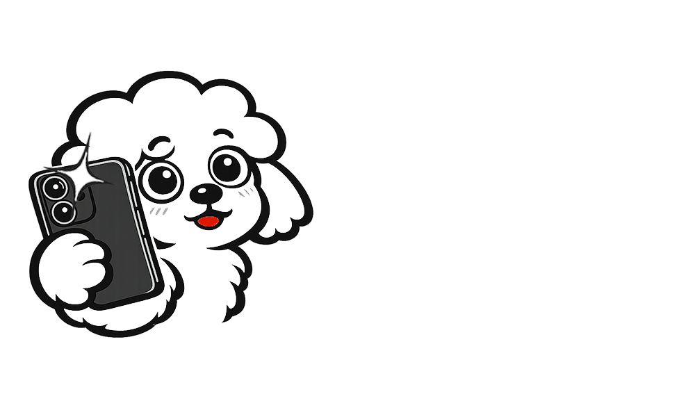 Photo Poodle