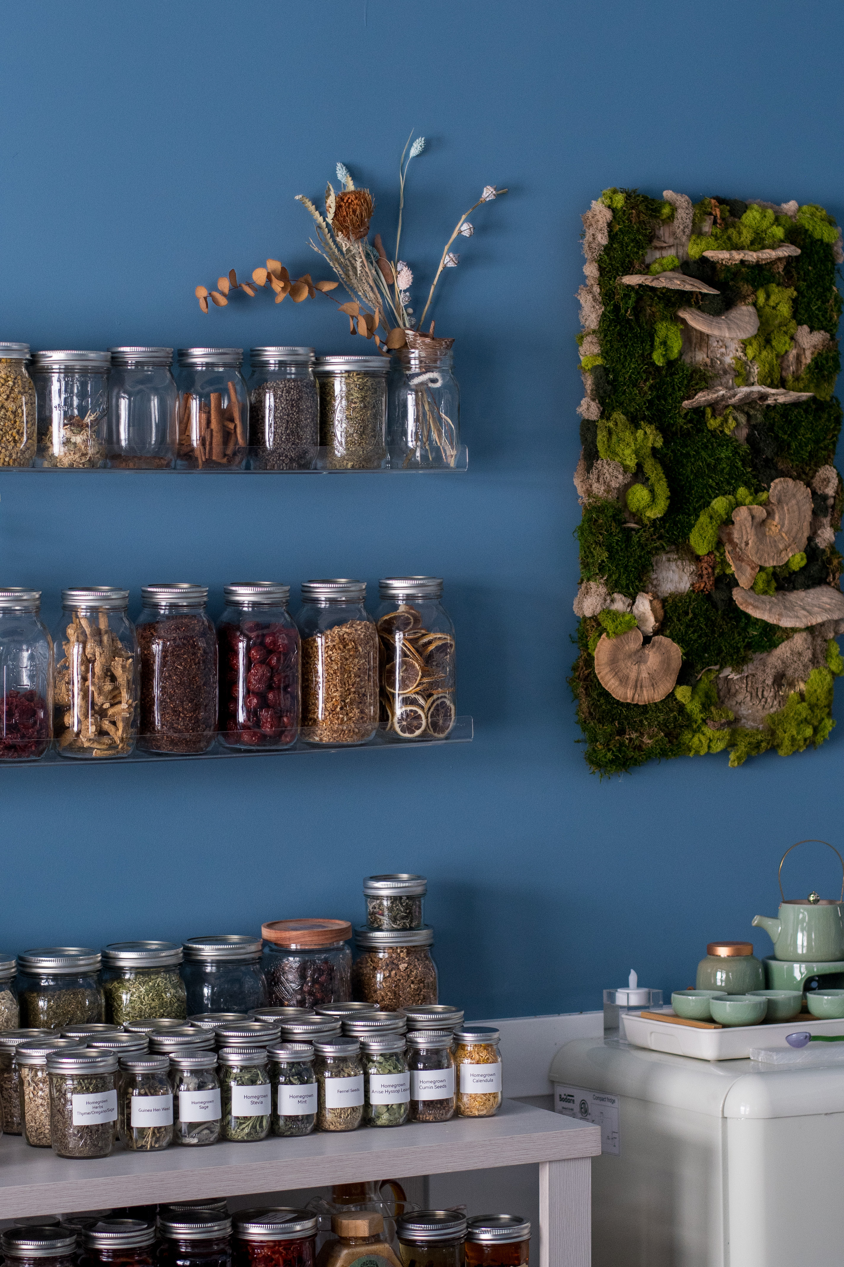 Soulshine apothecary — shelves of herbal jars, dried botanicals, and a moss wall panel