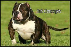 WCG Dog 1