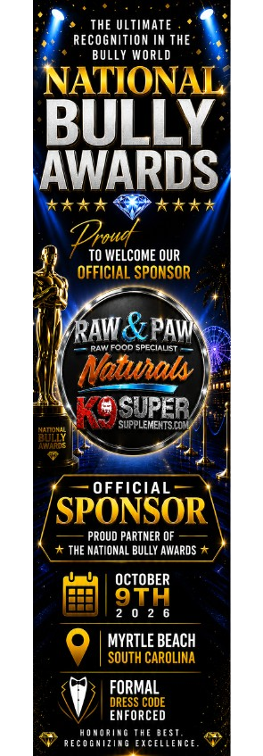 Sponsor banner 2