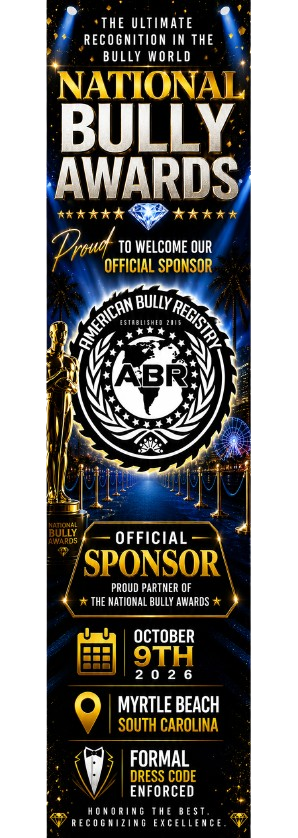 Sponsor banner 2