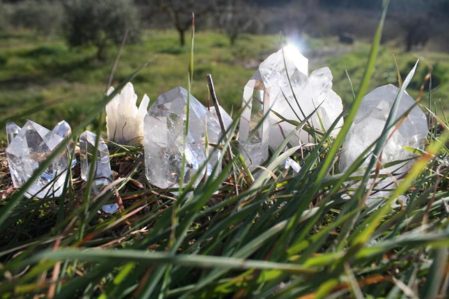Refugi de l'Ànima