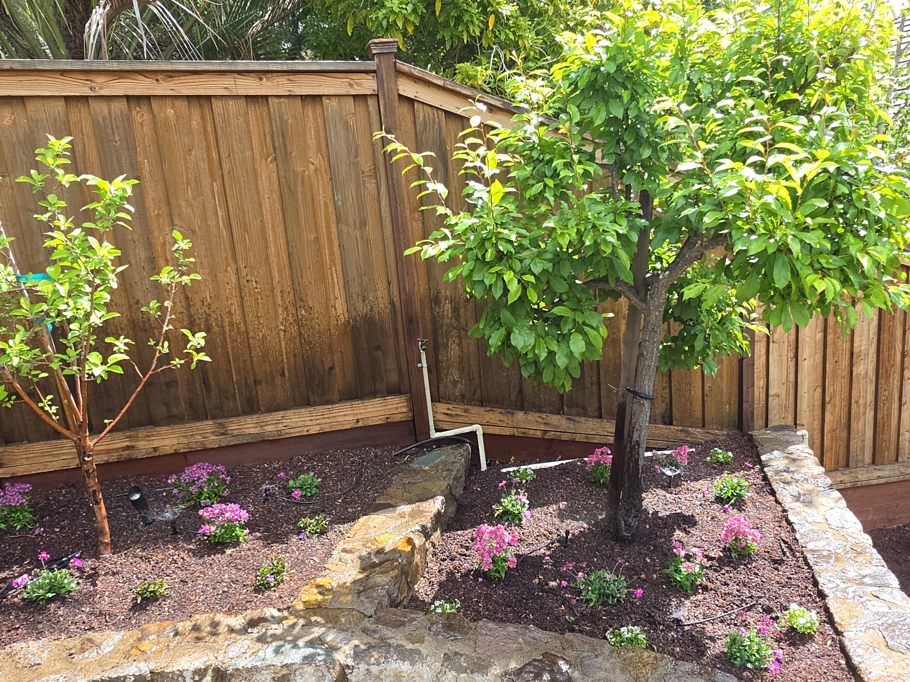 Pink Flowering Tree Bed