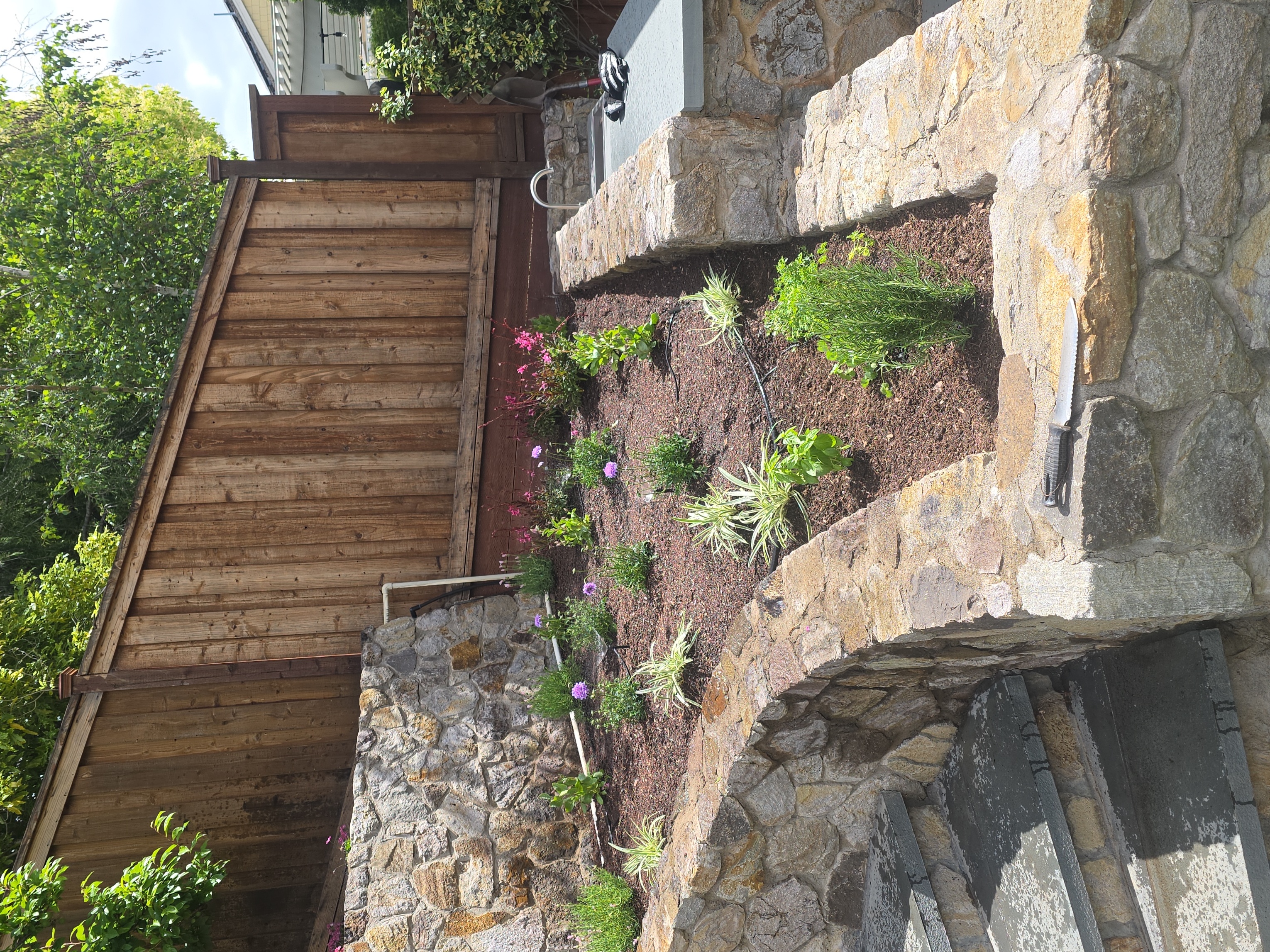 Planting Installation and Design