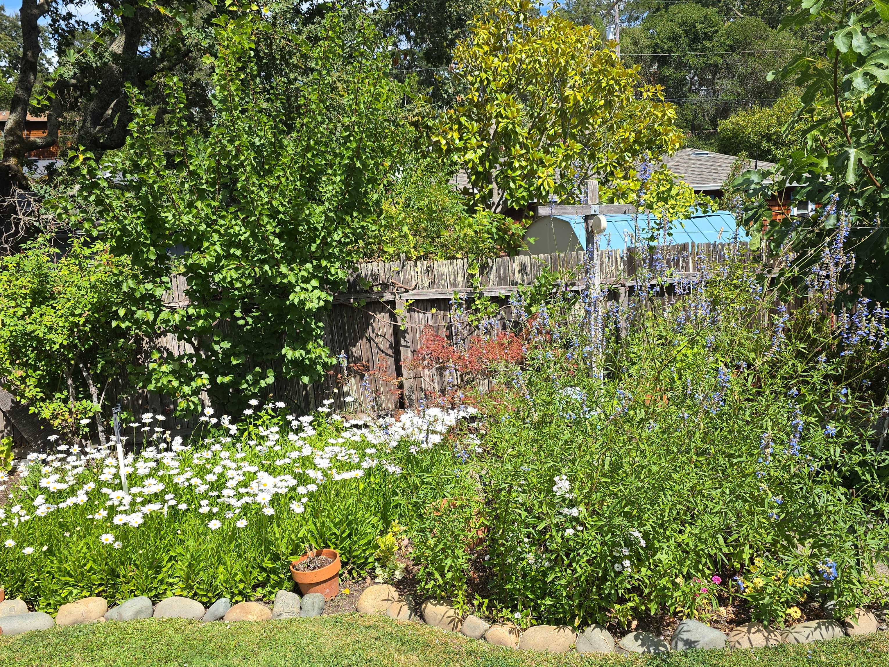 Compost and Fertilization