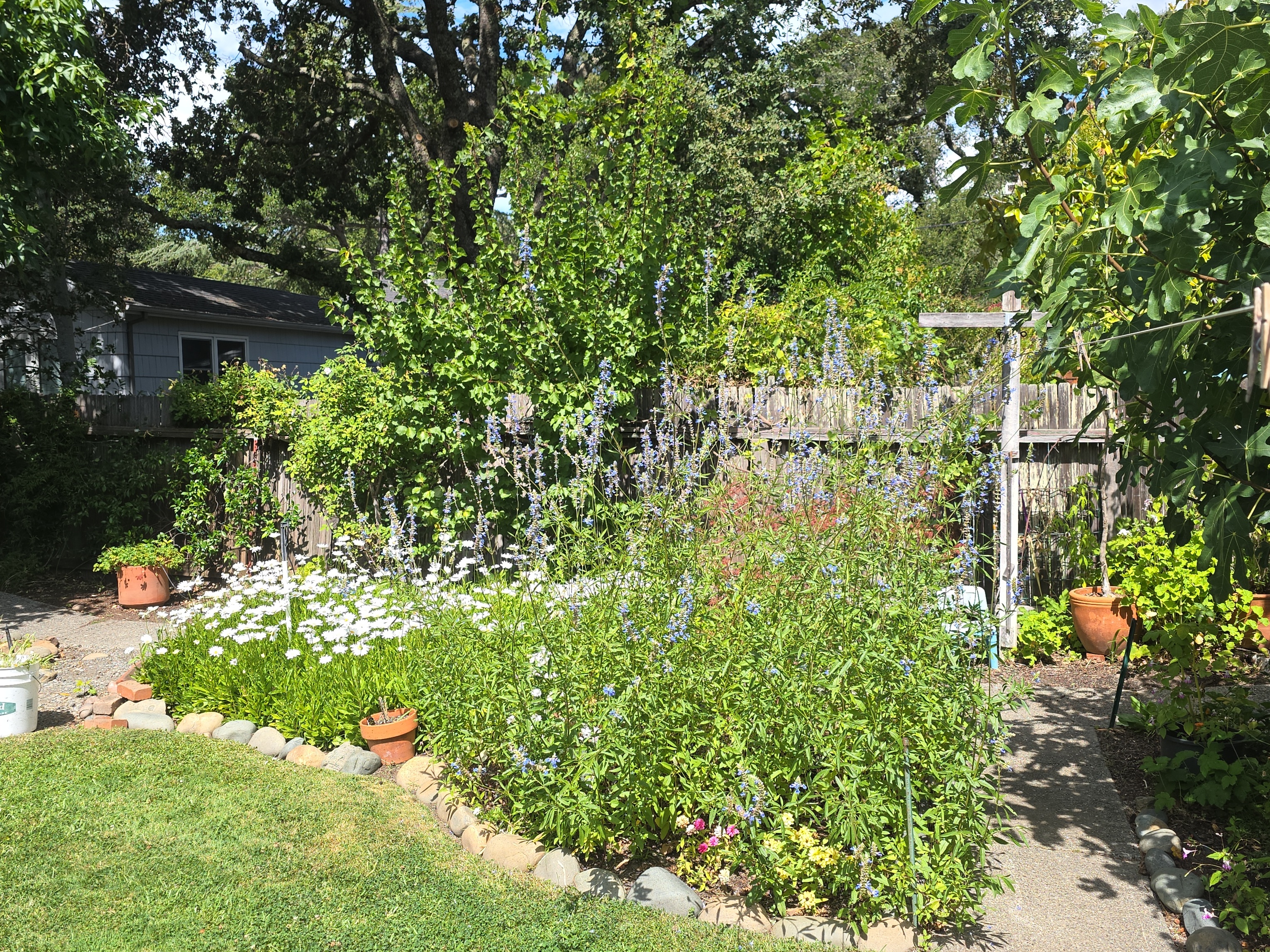 Compost and Fertilization
