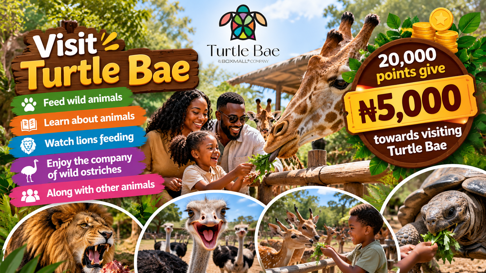 Visit Turtle Bae