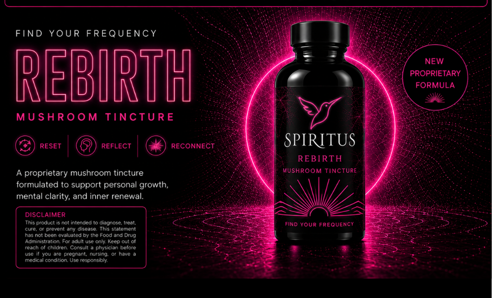 Spiritus Rebirth mushroom tincture — reset, reflect, reconnect.