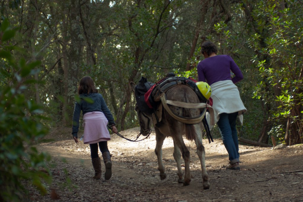 Senderisme d’un Dia amb Ruc al Parc Natural del Montnegre-Corredor