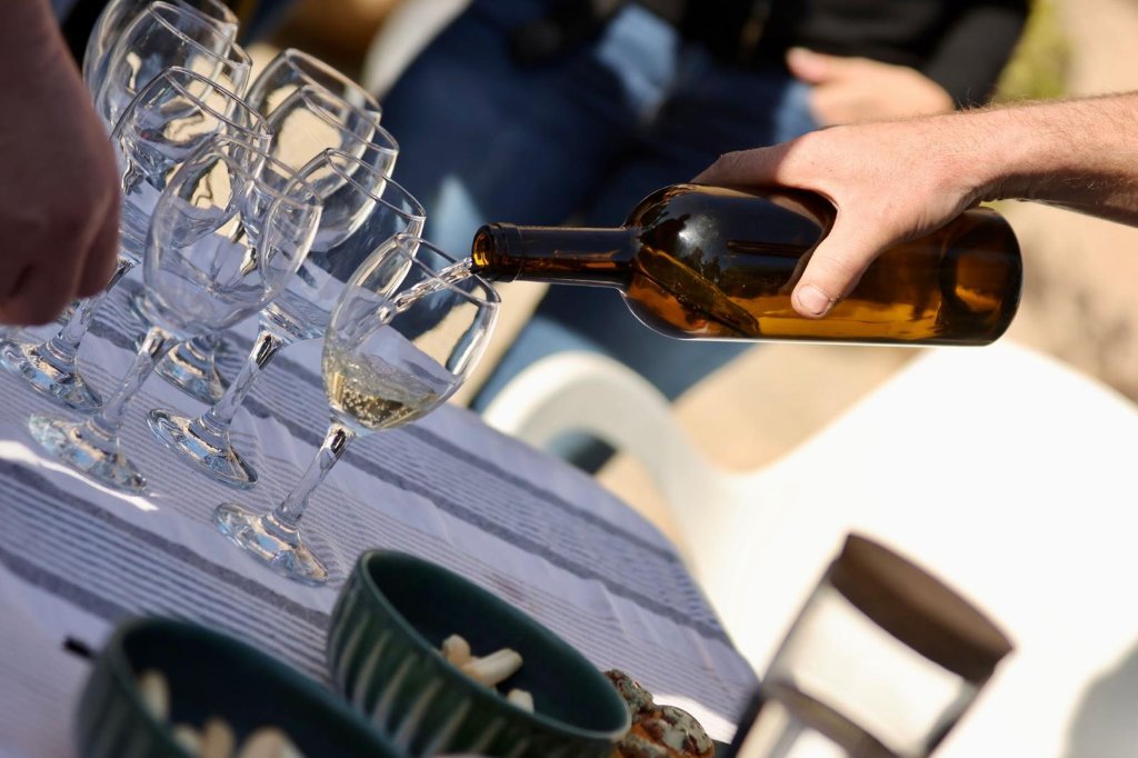 Enoturisme a la DO Alella: Visita a les Vinyes de Can 600 i Tast de Pansa Blanca