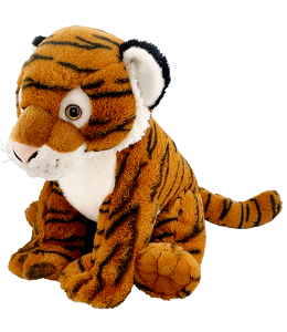 Kanji the Bengal Tiger