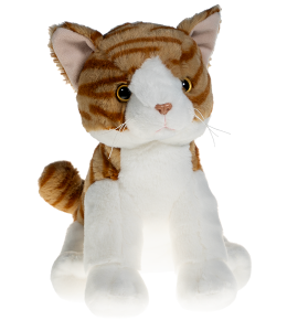 Creamsicle Tabby Cat