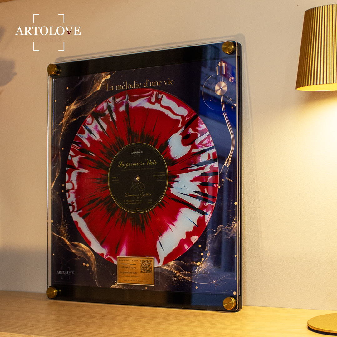 Vinyle - La Mélodie d'une Vie (1)