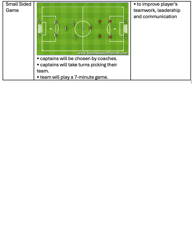 Small Sided Game
