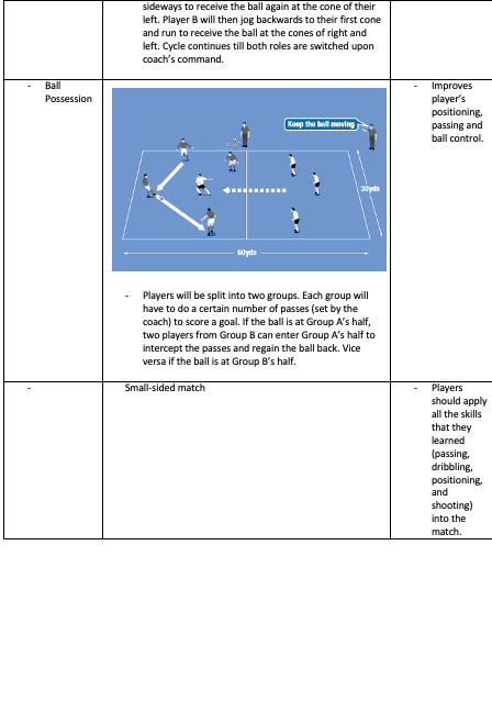 Ball Possession and Small-sided Match
