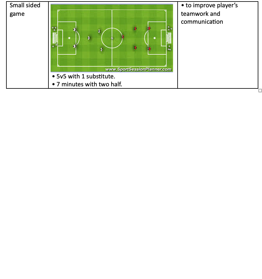 Small Sided Game
