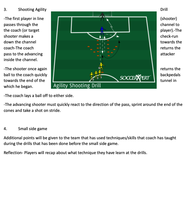 Shooting Agility and Small Sided Game