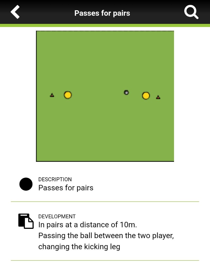 Passes for Pairs