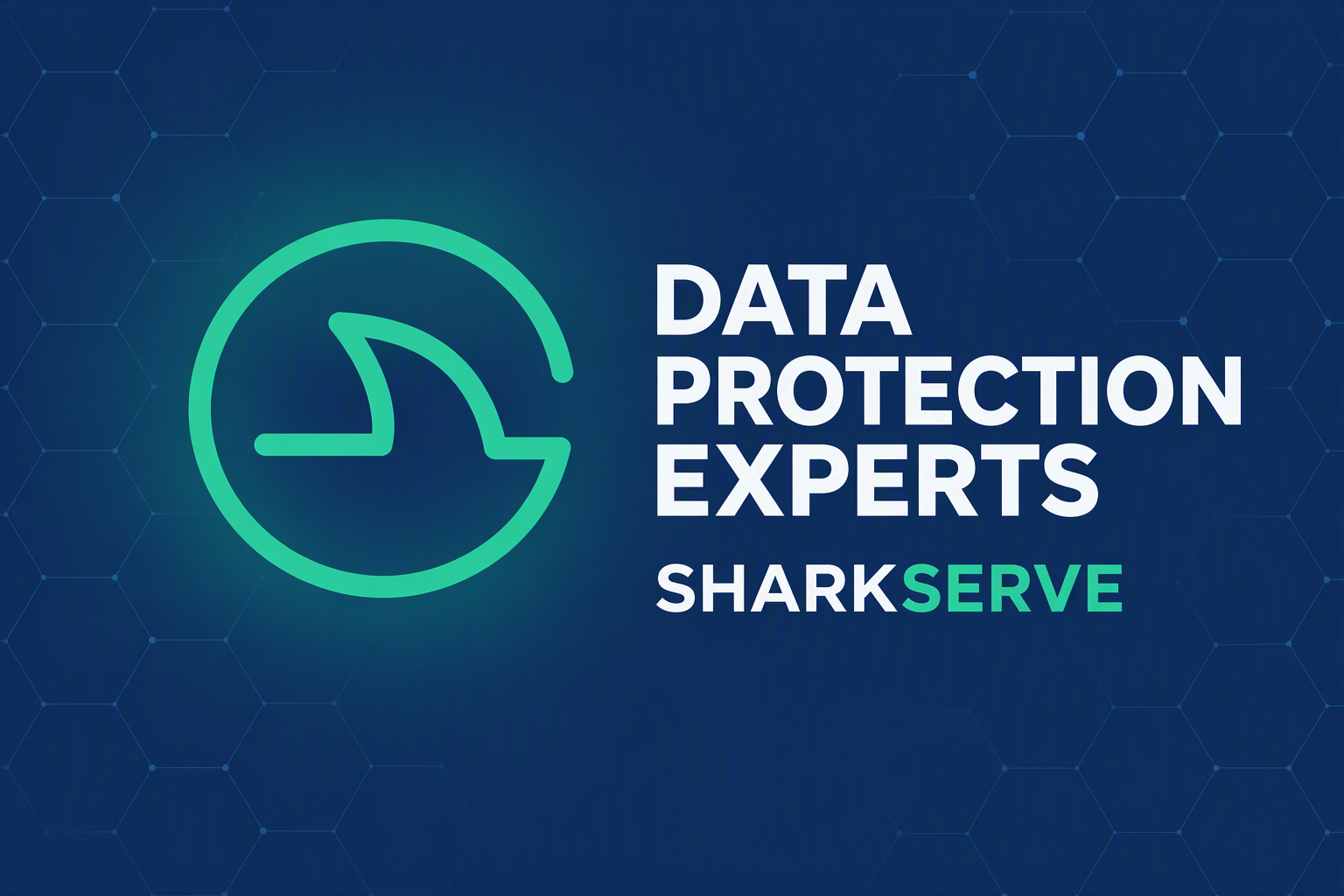 Data Protection Experts