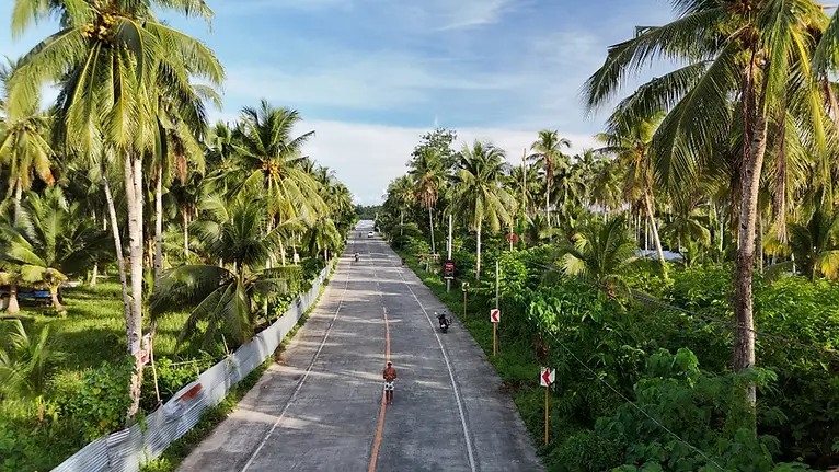 Bali from above