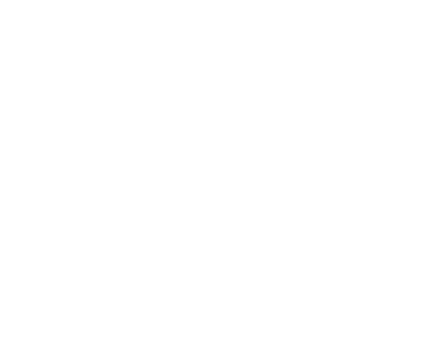 American Journey Experience