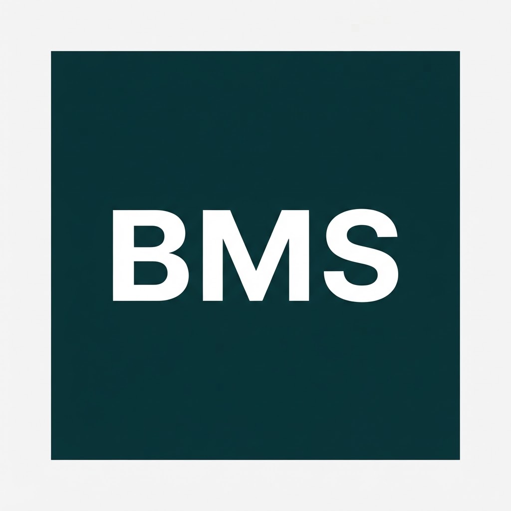 BMS Icon