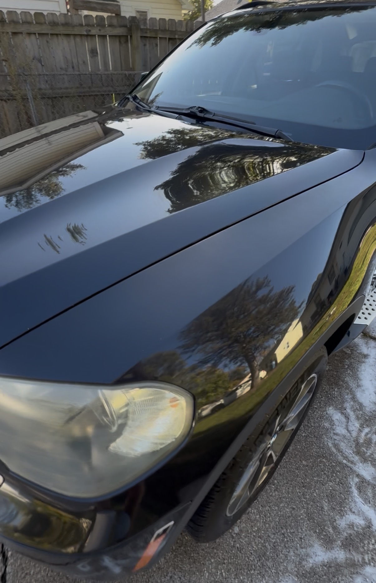 Polished black hood reflecting the trees around it