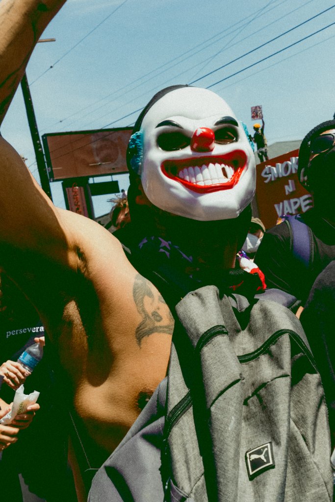 Clown Mask Protester