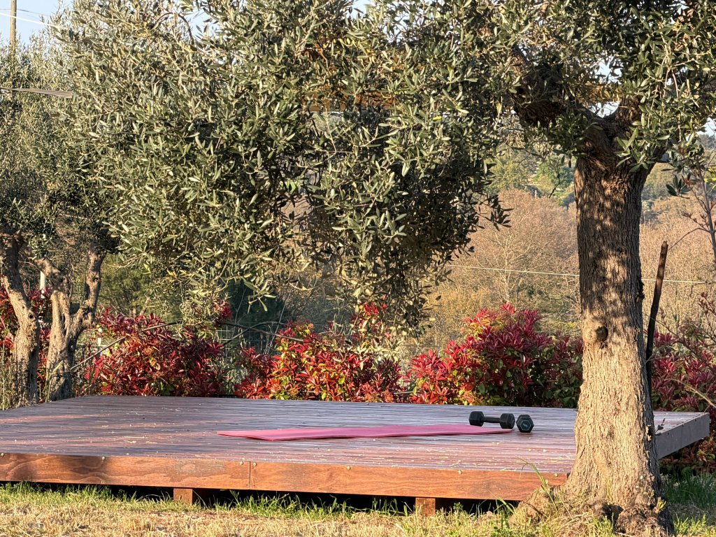 Outdoor Yoga under the Olive Trees 1