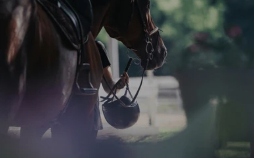 Rider on horse