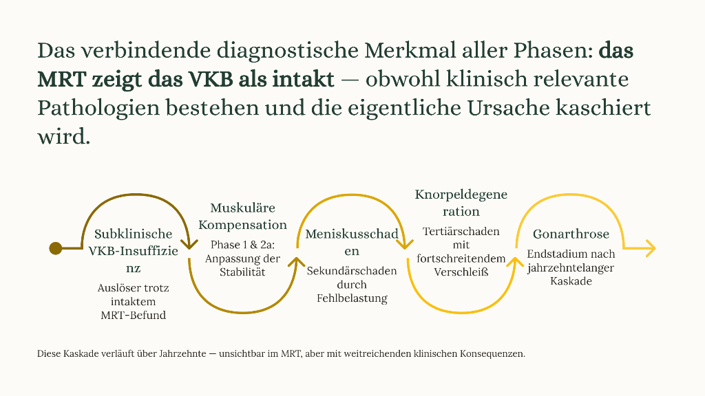 Von der Instabilität zur Arthrose – Biographische Kette der Kniedegeneration