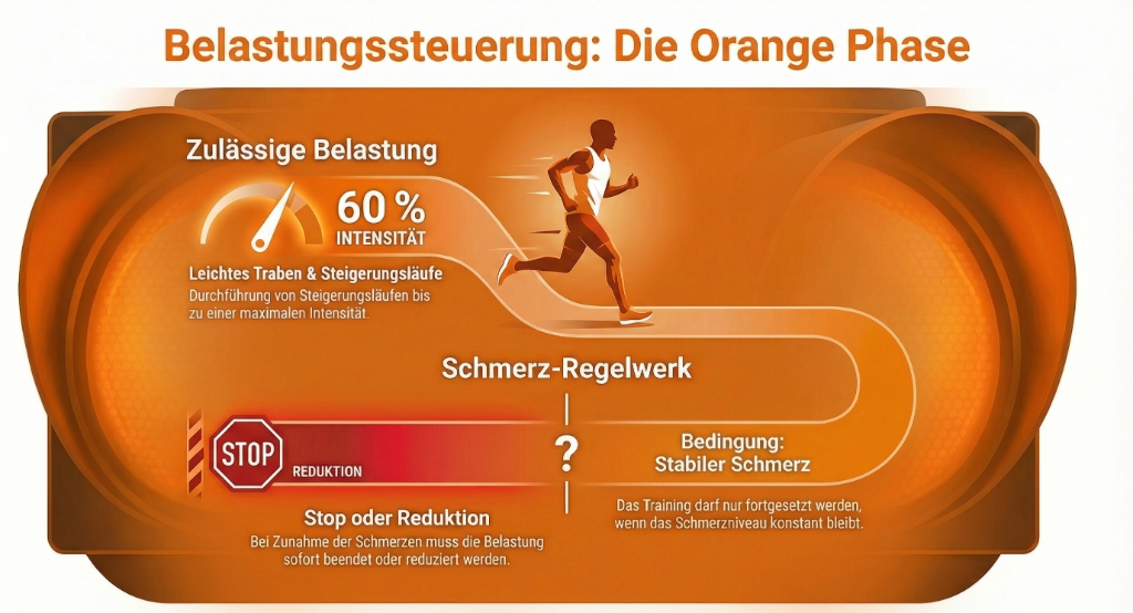 Belastungssteuerung in der Orangenphase