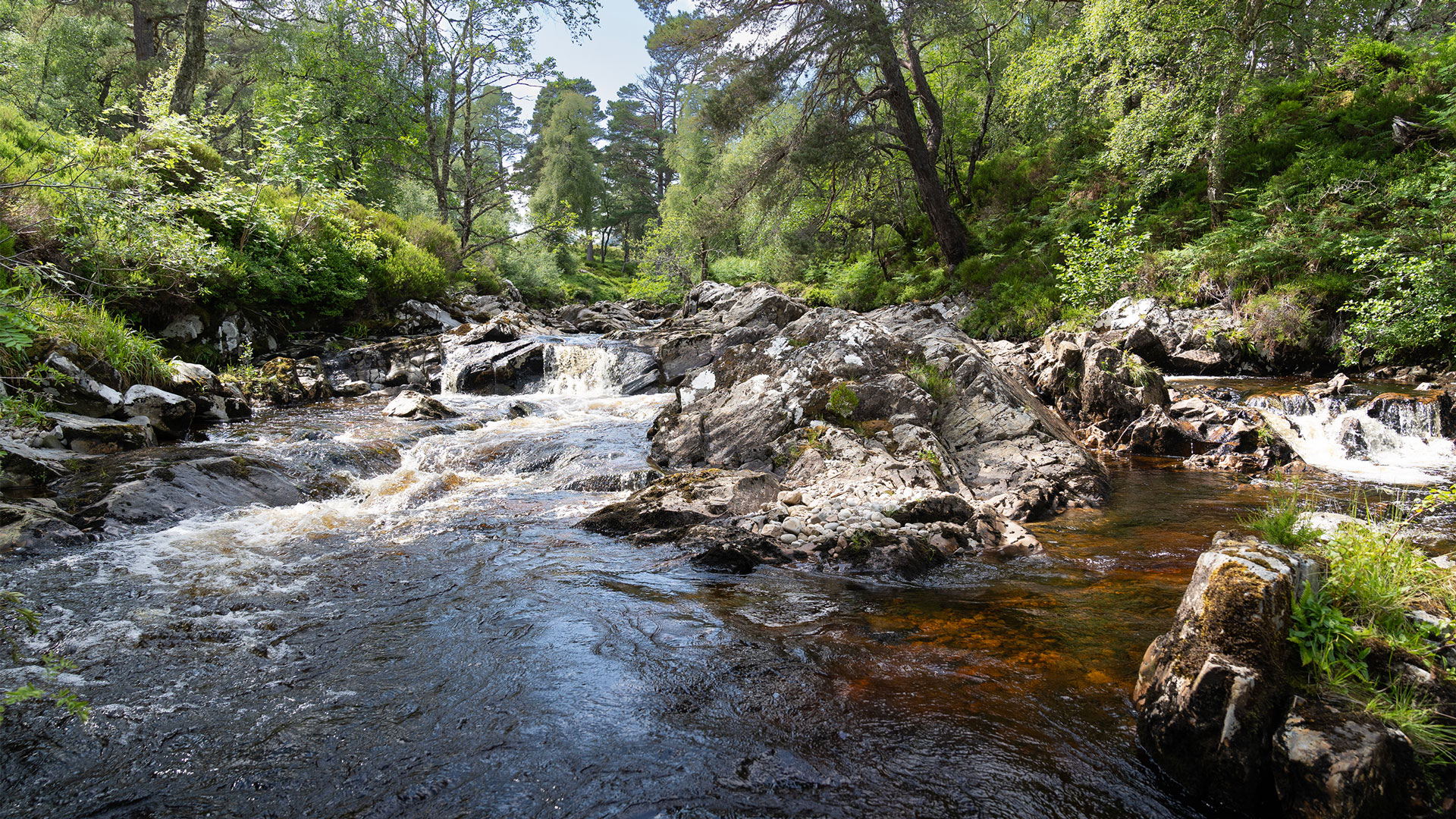 A clear Highland river running through native woodland at Alladale