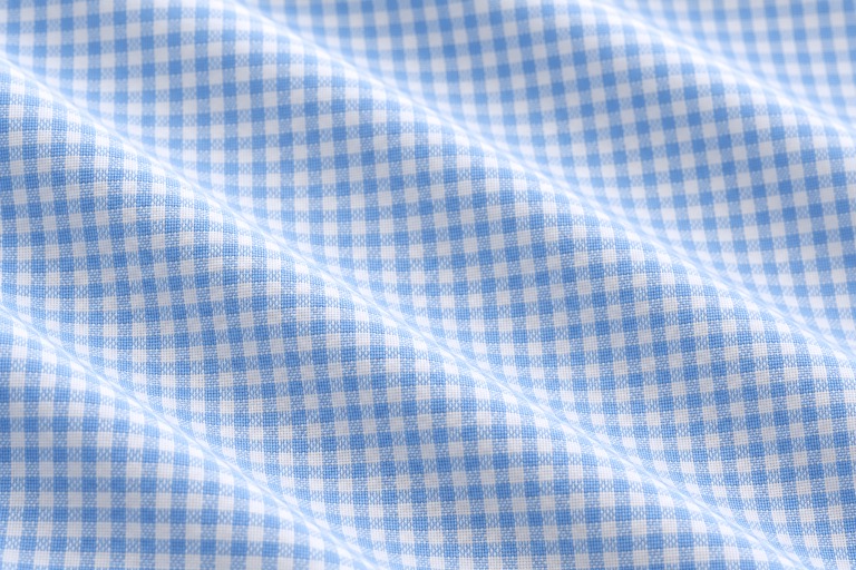 Blue Gingham Shirt