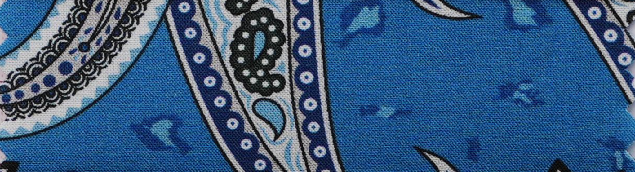 Blue Paisley Shirt II