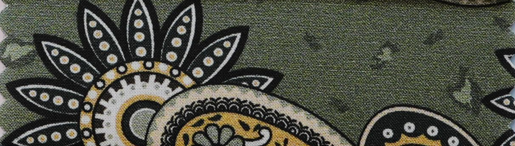 Green Paisley Shirt II
