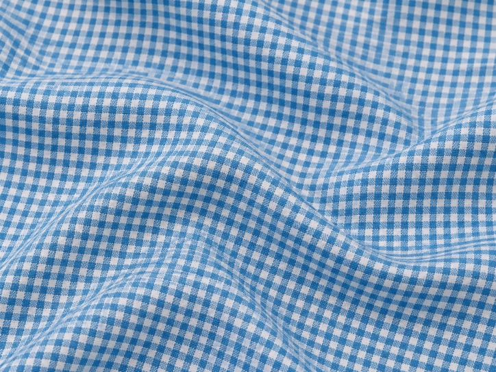 Blue Gingham Shirt IV