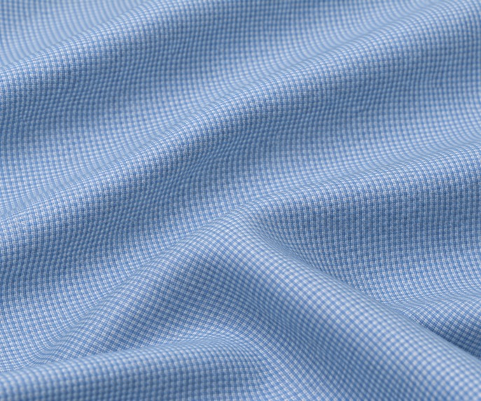 Blue Gingham Shirt V
