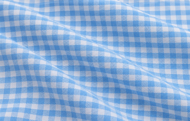 Blue Gingham Shirt II