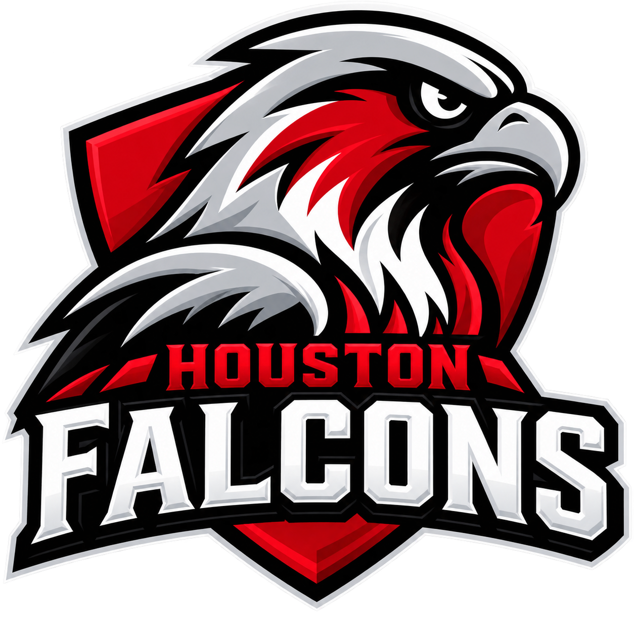 Houston Falcons