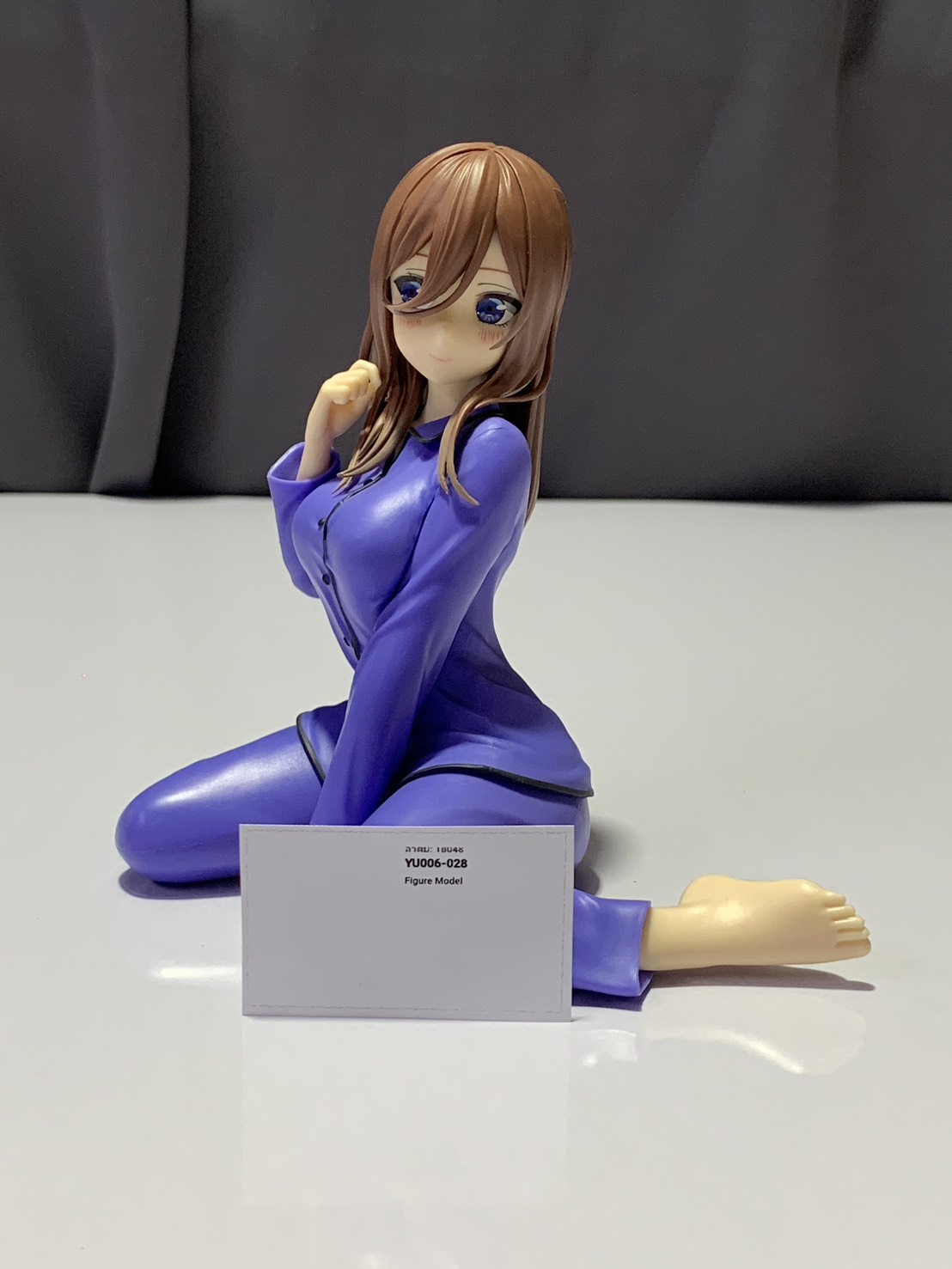 YU006-028 Figure Model 2