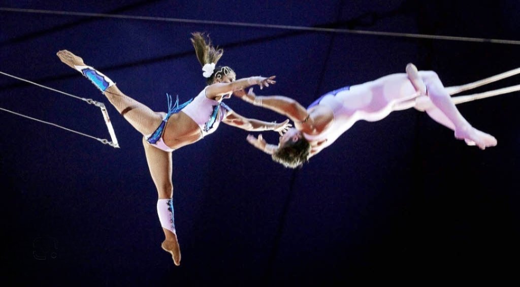 The Flying Milla