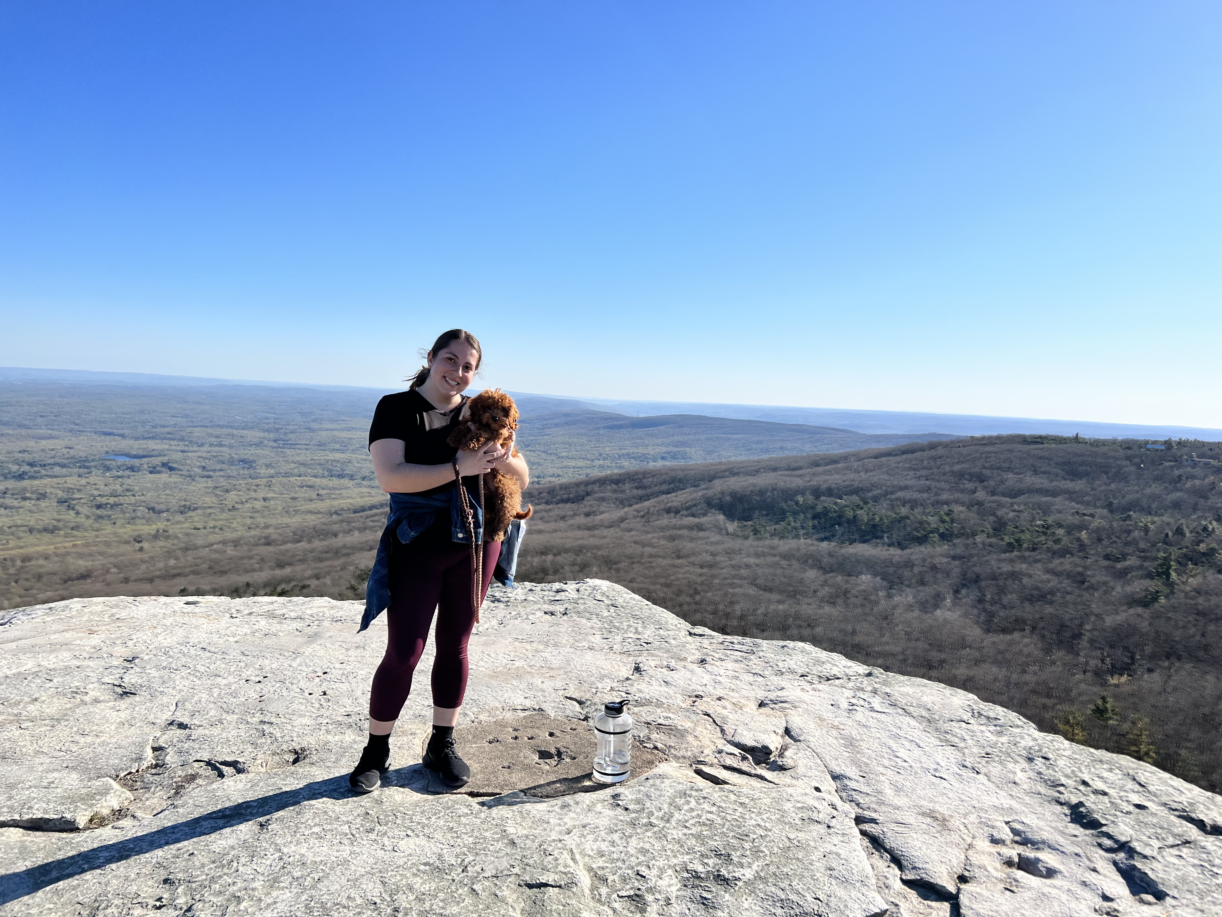 Professional pet handler for weddings and portrait sessions in NJ